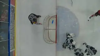Alberni Valley Bulldogs 10 Surrey Eagles 4