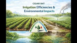 CGIAR CIMMYT B4T TN IRRIGATION EFFICIENCY AND ENVIRONMENTAL IMPACTS EN NJORO 20251219 A03