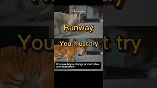 How to Change Camera Angles in Existing Footage | Runway Aleph AI Tutorial#ai#runway