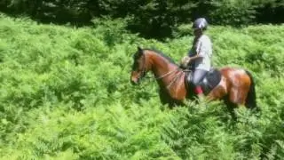 Caballerizas Biku&ntilde;a: montaje fotos campamentos 2016-1