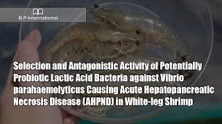 Selection and Antagonistic Activity of Potentially Probiotic Lactic Acid Bacteria against Vibrio