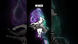 Match The Rotating Image With Its Shadow Challenge! 🎯 #Shorts #Challenge #Game