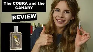 THE COBRA AND THE CANARY by IMAGINARY AUTHORS REVIEW  | Tommelise