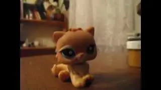 LPS Dans I want to be with you (Hatckuna and Lukora dans)
