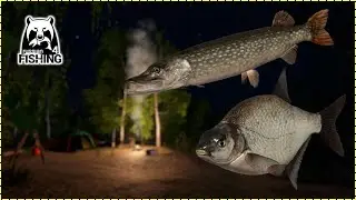 Bream and Pike spots Old Burg | Russian Fishing 4
