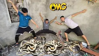 Brave Hunter Rescues Young Man Attacked by 100 Ferocious Dragon Snakes in an Abandoned House