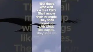 Isaiah‬ ‭40‬:‭31 #shorts #spiritual #Bible #devotional #motivation #Christianity #hope #Jesus #love