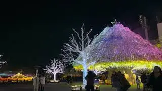 Illumination here at Tokyo Japan love it 😍 it&rsquo;s so amazing 