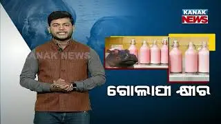 Special Report: Why A Hippo's Milk Is PINK?