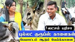 ப்பா பேய் பார்வை.. புல்லட் குரூப்ஸ் பேய் காளை / புல்லட் குரூப்ஸில் வளரும் 200 விளையாட்டு காளைகள்