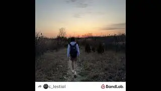 Celestial - Bliss