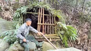 Two brothers survive by making a house out of leaves-wild and peaceful//365day