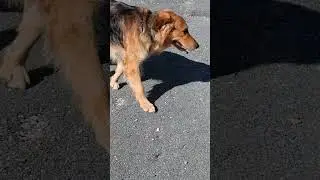 #необычный #природа #невероятный