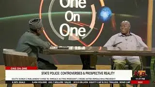 Prof. Kemi Rotimi On State Police Controversies: Guiding Principle For Recruitment Into Police | NTA