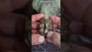 #stonecutting #crystals #naturalamethyst #shortsviral #stone #lifeisbutadream
