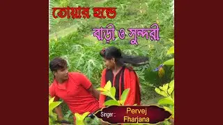 তোয়ার হন্ডে বাড়ী ও সুন্দরী