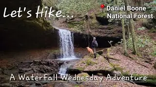 Bald Rock Falls, Any Business Falls, No Business Falls - DBNF - Kentucky - 2/1/23