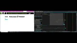 WEED STOCKS!!! BIG NEWS!!!!!!!!!! $ACB $HEXO $APHA $TLRY $MJNA