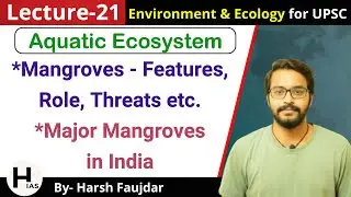 E21: Mangroves - Features, Role, Threats, Major Mangroves in India | Environment for UPSC
