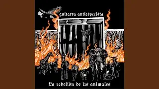 Que corran libres