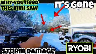 Портативная бензопила Ryobi Mini / Почему вам стоит её купить