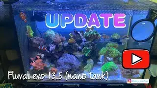 Обновление по моему fluval evo 13.5 (нано-рифовый аквариум)