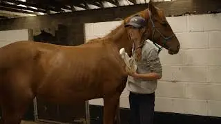 The Anmore Way | Episode 3: The Yearlings &mdash; Building Trust and Routine