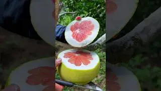 Incre&iacute;ble su color 🍊😲