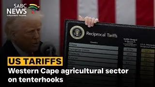 US Tariffs | Western Cape agricultural sector on tenterhooks