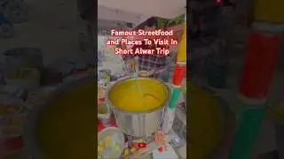 Famous Streetfood And Places To Visit In Alwar Rajasthan