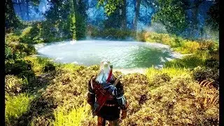 The Beauty of THE WITCHER 2 (insane details, landscapes)