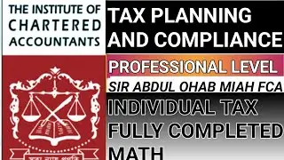 Professional Level New Amendment Tax act 23 individual math full completed Tax planning & compliance