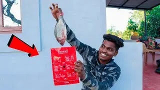 Fish Cooking Without Fire | 😱 OMG How To Possible ....?