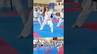 Kihon Heian Shodan #2 #karate #piatsko #seminarpiatsko #martialarts #sensei #空手道#школакаратэ #budo