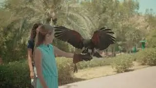 JA Beach Hotel | JA Resorts & Hotels.