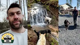 Мне жаль, что у меня плохие новости | Дом Эшера