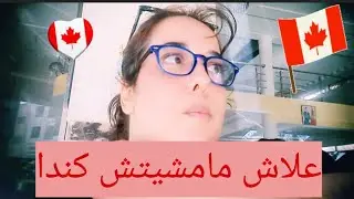الحلم 🇨🇦الكندي 🇨🇦تبخر🥴 ماعرفت المشكل فينا ولا فيهم⁉️