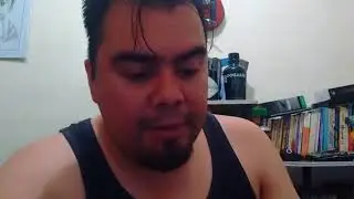 El pared&oacute;n 33 &frac12;
