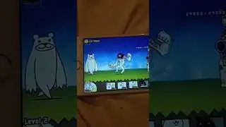 mythical titan cat vs teacher bear the bear wins :(
