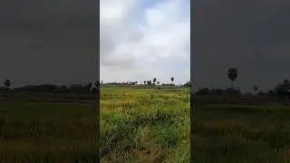 CAMBODIA (4K UHD) - Peaceful Piano Music With Beautiful Nature Scenery For Stress Relief #shorts