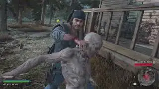 DAYS GONE - Infestation Exterminator - Rogue Camp Infestation