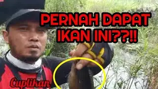 Yakin, dak mau mancing?!! Di spot ini? #tempatmancing  #resepumpan   #umpanjitu