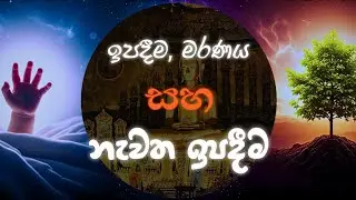 Birth, Death and Rebirth | ඉපදීම, මරණය සහ නැවත ඉපදීම | Deep Spiritual Wisdom Explained