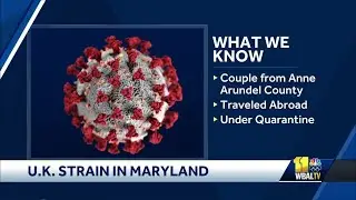 COVID-19 strain of UK variant confirmed in Maryland