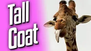 Tall Goat (Goat Sim #6)