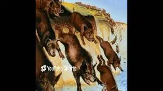 MIRACLES   HEALING A GERASENE DEMON POSSESSED MAN