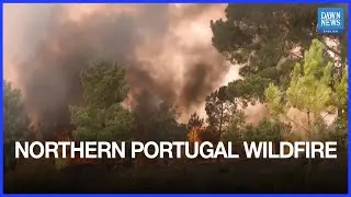Northern Portugal residents help fight wildfires, blame political leaders | Dawn News English