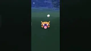 Shiny Shellder