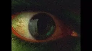 Hulk - Fanmade TV Spot Concept (1990s)