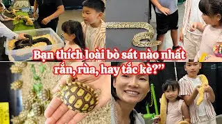 Thế giới b&ograve; s&aacute;t tại San Mateo | REPTILE REALMS Show & Sale | Đi xem rắn rết , r&ugrave;a trăn,nhện . tắc k&egrave;